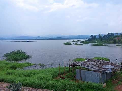 कैलालीमा डुबानले गर्दा अढाई सय बिघा जमिन बाँझै